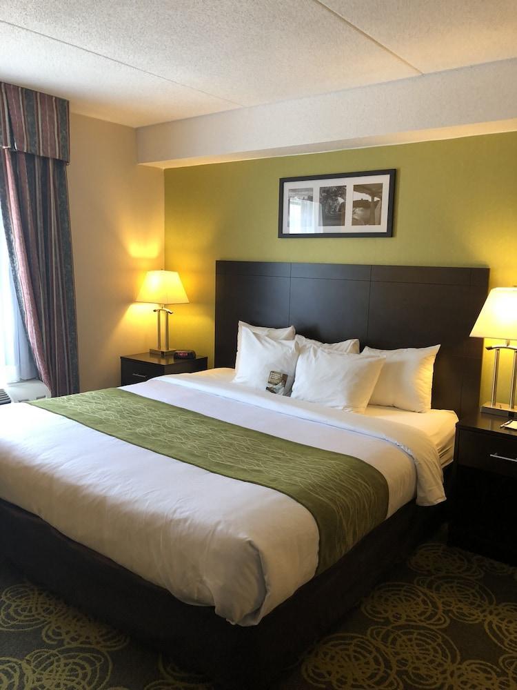 Comfort Hotel & Suites Peterborough Bagian luar foto